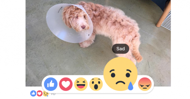 Facebook cập nhật tính năng like cảm xúc mới, không có nút dislike